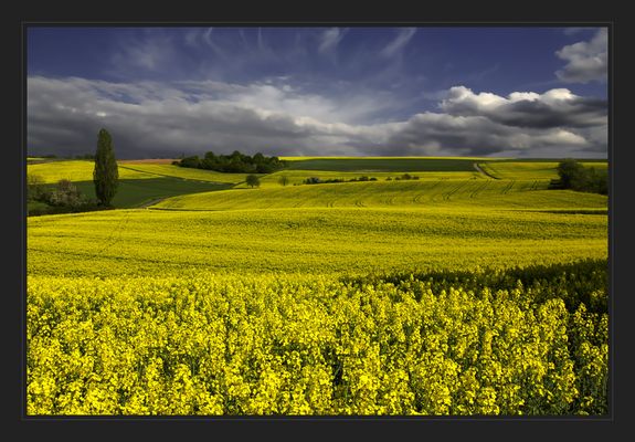 Weitere Bilder von Klaus Hofacker bei der Fotocommunity